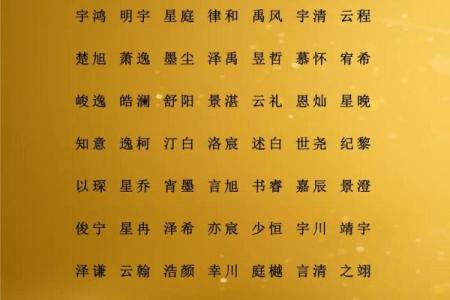 属龙酉时出生的男孩要什么名字好，适合什么字姓名