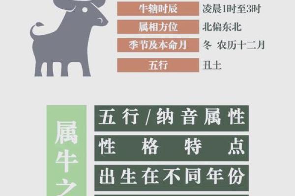 下午出生的属牛男孩起什么名字比较合适姓名