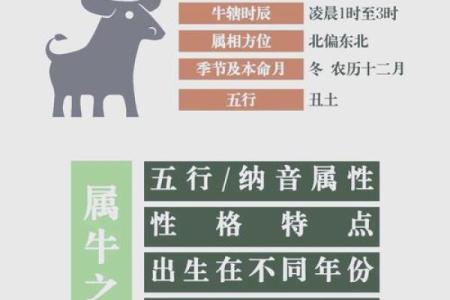 下午出生的属牛男孩起什么名字比较合适姓名