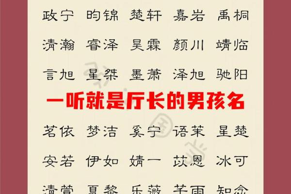 属蛇申时出生的男孩怎样取名好姓名 属蛇申时出生的男孩怎样取名好姓名