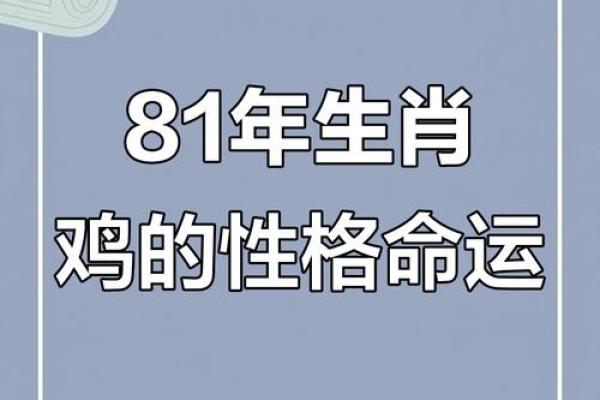 怎么样给早上8点出生的属鸡男孩起名字好姓名 怎么样给早上8点出生的属鸡男孩起名字好姓名