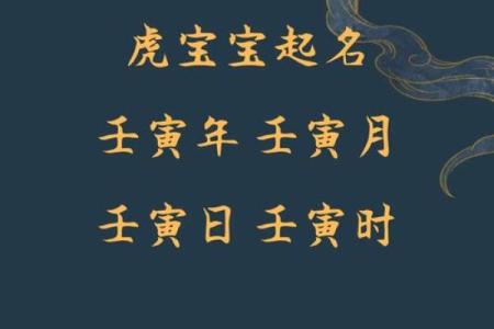 中午1点出生的属虎男孩如何起名,适合什么字姓名