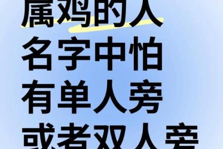 怎么样给早上8点出生的属鸡男孩起名字好姓名