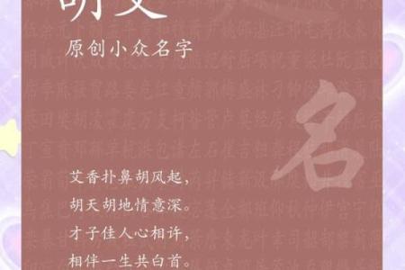 胡姓男孩名字大全-胡姓男孩起名字大全-胡姓名字大全姓名