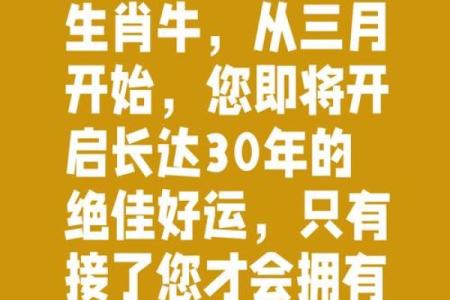 上午10点出生的属牛男孩应该用什么字取名字姓名