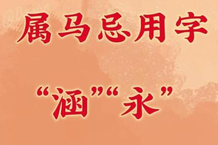 二月份出生属马的男孩该取什么名字姓名
