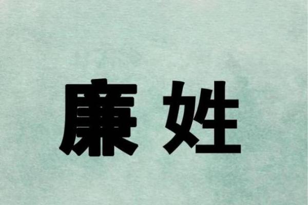 廉姓女孩名字大全-廉姓女孩起名字大全-廉姓名字大全姓名 廉姓女孩名字大全-廉姓女孩起名字大全-廉姓名字大全姓名