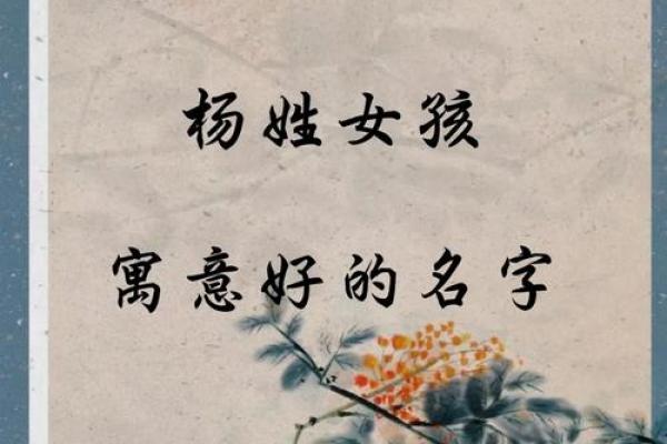 杨姓女孩名字大全-杨姓女孩起名字大全-杨姓名字大全姓名