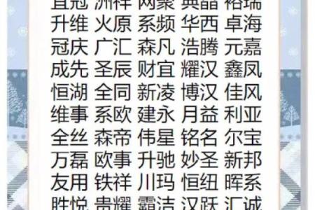 电脑公司名字大全-名字大全姓名