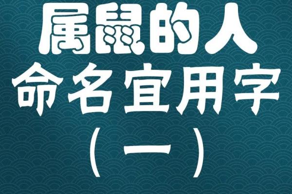 要给上午11点出生的属鼠男孩起名用什么字姓名 要给上午11点出生的属鼠男孩起名用什么字姓名