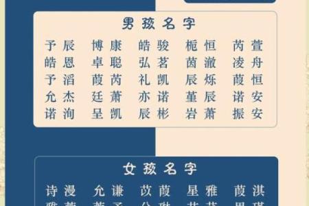 2019年6月23号卯时出生的男孩应该起什么样的名字姓名