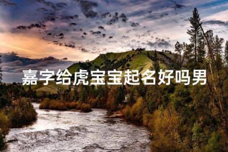 中午出生的属虎男孩如何起名,适合什么字姓名