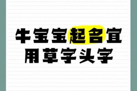 早上6点出生的属牛男孩如何起名,宜用什么字姓名