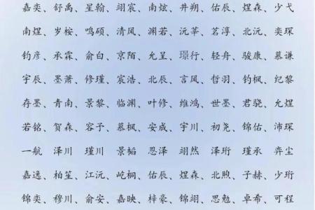 2019年6月20号寅时出生的男孩如何起名姓名