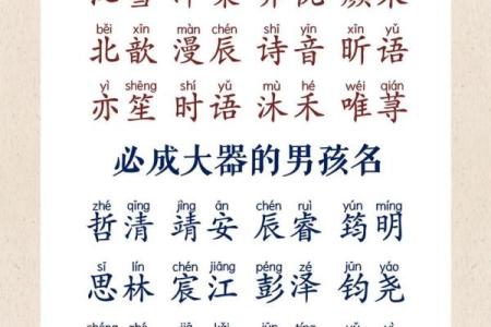 2019年3月23号申时出生的男孩如何起名姓名