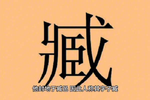 臧姓女孩名字大全-臧姓女孩起名字大全-臧姓名字大全姓名