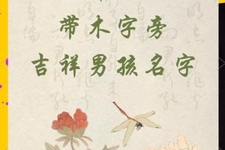 5月份出生的属蛇男孩该怎样取名字姓名