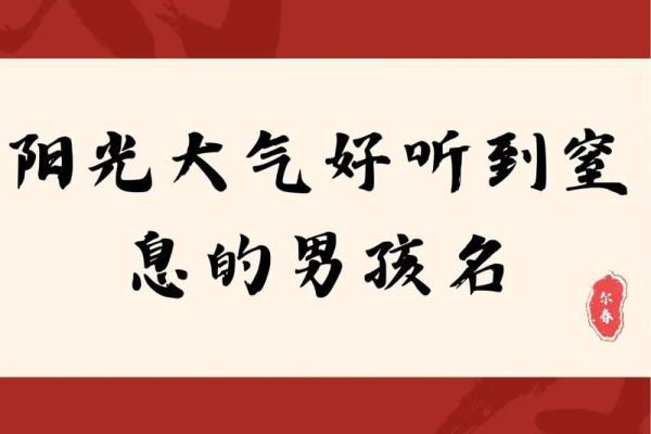 2019年5月26号卯时出生的男孩要怎么起名字姓名