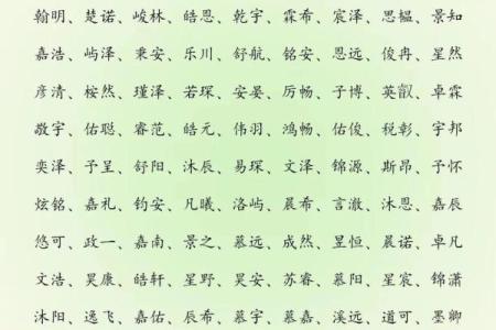 2019年5月26号卯时出生的男孩要怎么起名字姓名