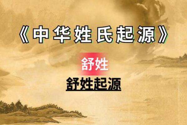 舒姓男孩名字大全-舒姓男孩起名字大全-舒姓名字大全姓名