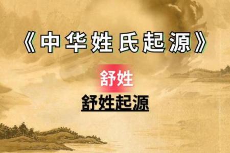 舒姓男孩名字大全-舒姓男孩起名字大全-舒姓名字大全姓名