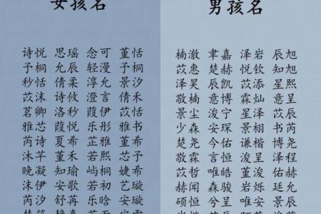 2019年3月17号申时出生的男孩应该起什么样的名字姓名