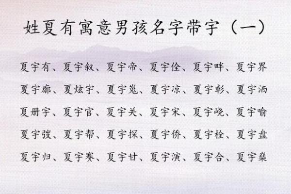 属猪寅时出生的男孩怎么取名字，宜用什么字姓名