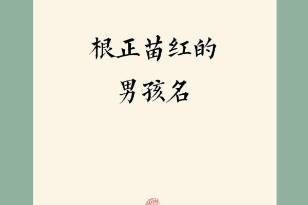 苗姓男孩名字大全-苗姓男孩起名字大全-苗姓名字大全姓名