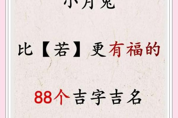 2月份出生的属兔男孩该怎么取名字姓名