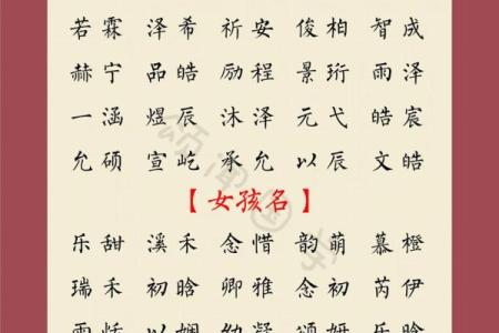 凌晨4点出生的属蛇男孩如何起名姓名