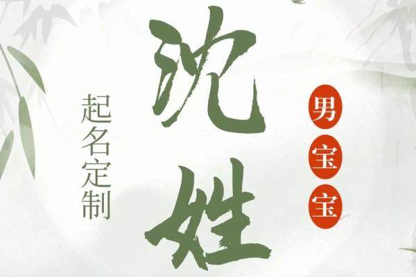 沈姓女孩名字大全-沈姓女孩起名字大全-沈姓名字大全姓名 沈姓女孩名字大全-沈姓女孩起名字大全-沈姓名字大全姓名