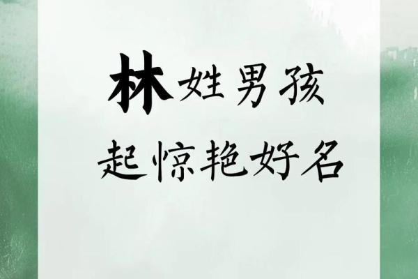 2019年5月10号卯时出生的男孩起名时要注意什么姓名