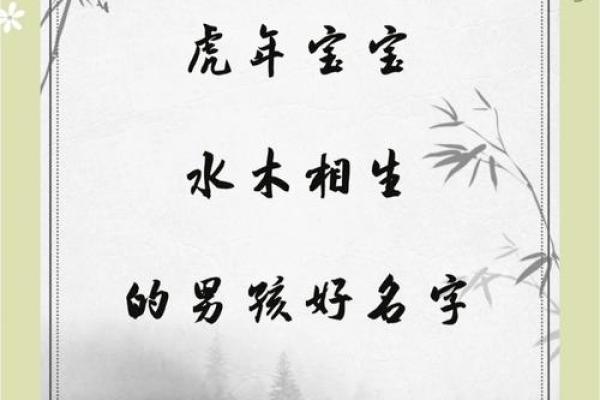 10月份出生的属虎男孩该怎么取名字姓名 10月份出生的属虎男孩该怎么取名字姓名