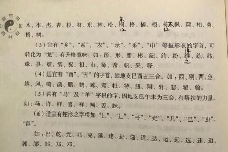 晚上10点出生的属蛇男孩要如何起名，宜用什么字姓名