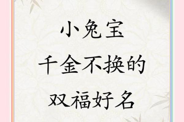 给属兔巳时出生的男孩起名宜用什么字姓名
