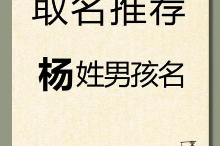 2019年5月27号寅时出生的男孩起名方法姓名