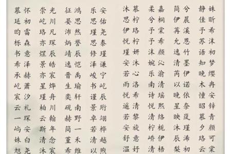 下午4点出生的属蛇男孩要如何起名，宜用什么字姓名