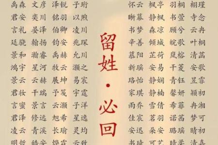 2019年5月4号寅时出生的男孩应该起什么样的名字姓名