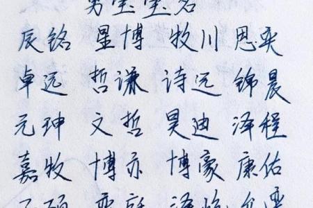 2019年3月23号亥时出生的男孩如何起名姓名