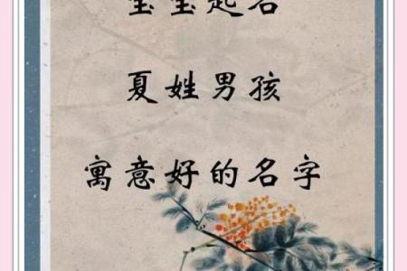 姓夏的名人-姓名学-华易算命网姓名