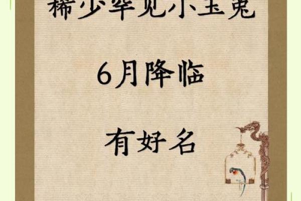 属兔卯时出生的男孩取名宜用什么字姓名 属兔卯时出生的男孩取名宜用什么字姓名