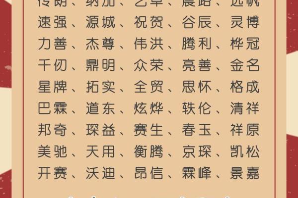网络公司名字大全-名字大全姓名