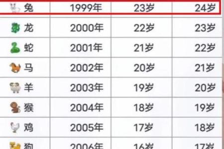 给属兔午时出生的男孩起名推荐的字和名字姓名