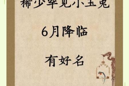 属兔卯时出生的男孩取名宜用什么字姓名