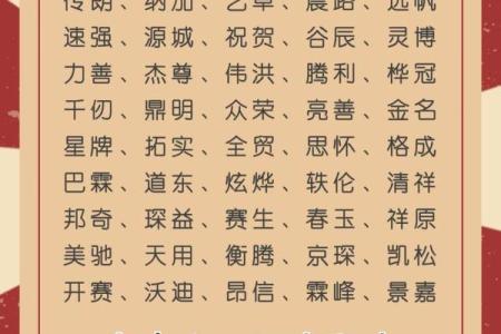 网络公司名字大全-名字大全姓名