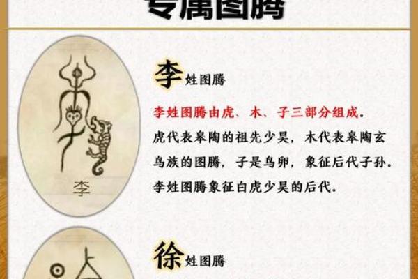 中国姓氏的由来-姓名学-姓名分析姓名 中国姓氏的由来-姓名学-姓名分析姓名