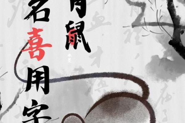 早上出生的属鼠男孩取名适用的字姓名 早上出生的属鼠男孩取名适用的字姓名