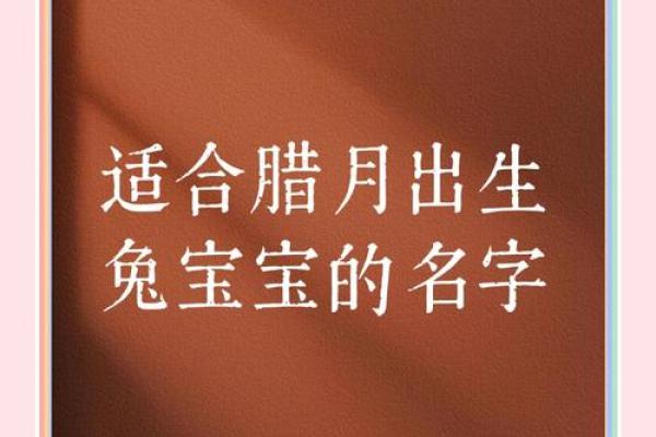 2011年兔宝宝起名大全-2011年兔宝宝取名大全-姓名学-姓名分析姓名 2011年兔宝宝起名大全-2011年兔宝宝取名大全-姓名学-姓名分析姓名