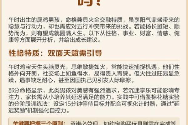 晚上11点出生的属鸡男孩宜用什么字取名字合适姓名 晚上11点出生的属鸡男孩宜用什么字取名字合适姓名