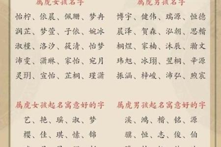晚上12点出生的属虎男孩起什么名，宜用什么字姓名